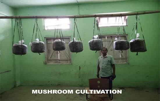 Workshop on Mushroom Cultivation